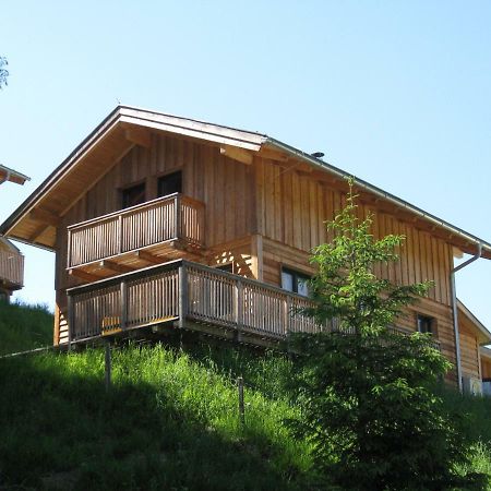 Alpenferienhaus Dachstein Annaberg im Lammertal Exterior foto