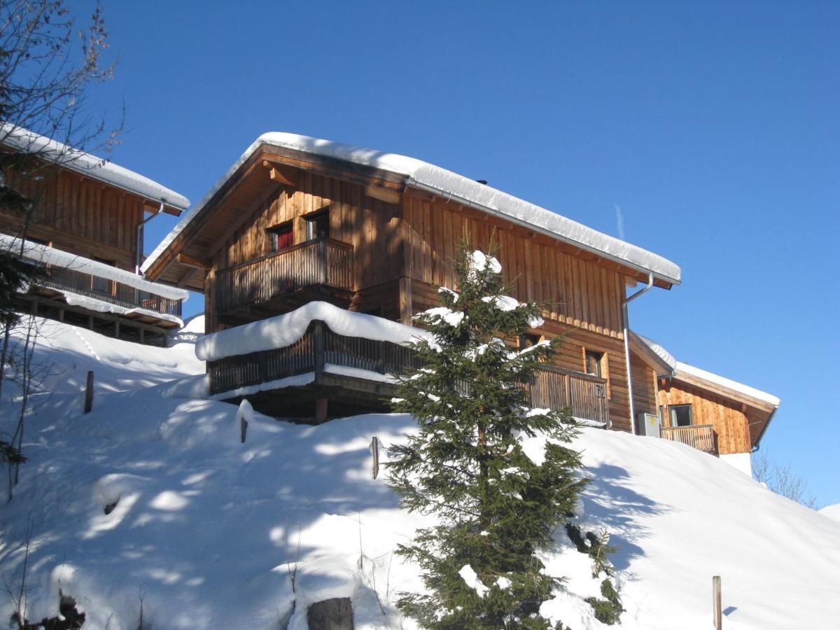 Alpenferienhaus Dachstein Annaberg im Lammertal Exterior foto