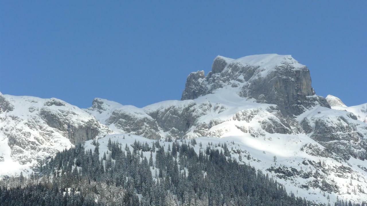 Alpenferienhaus Dachstein Annaberg im Lammertal Exterior foto