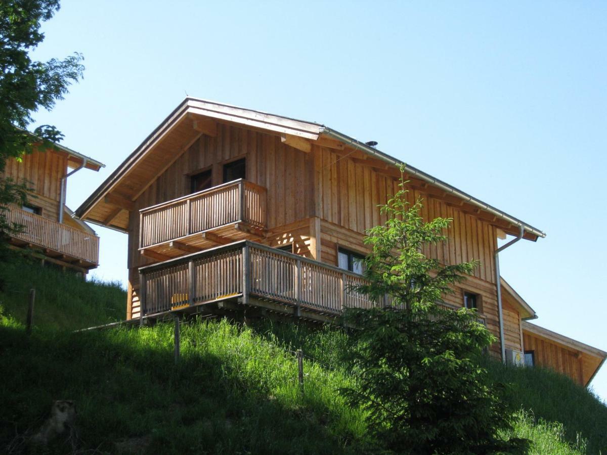Alpenferienhaus Dachstein Annaberg im Lammertal Exterior foto
