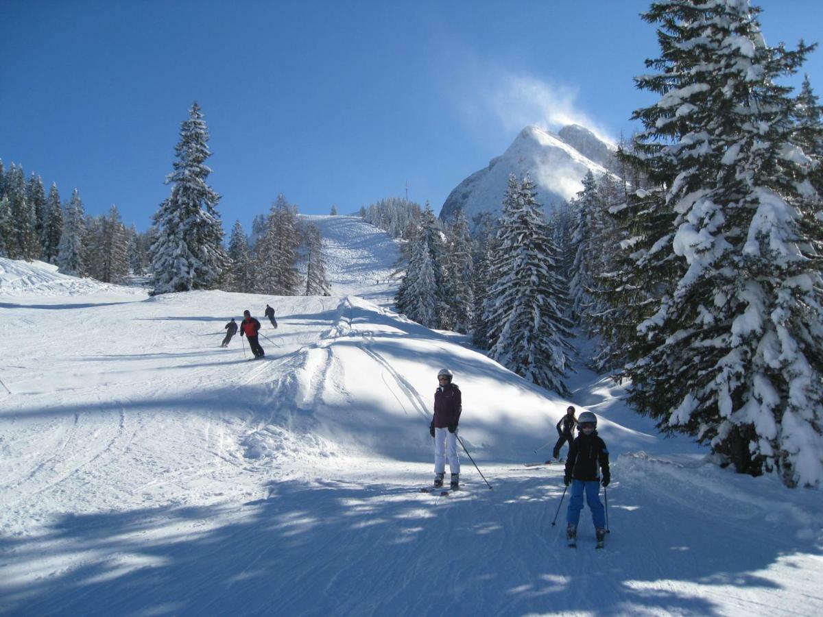 Alpenferienhaus Dachstein Annaberg im Lammertal Exterior foto
